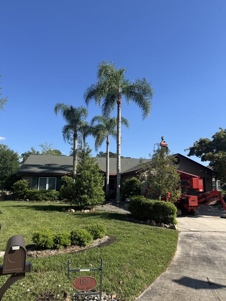 Business queued-photos - NFL Tree Service