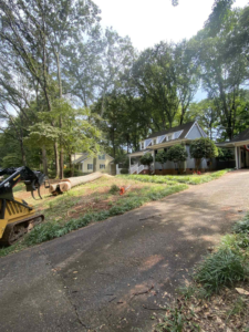 Business queued-photos - Torwai’s Quick Tree Service and Stump Removal