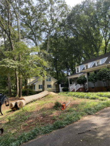 Business queued-photos - Torwai’s Quick Tree Service and Stump Removal