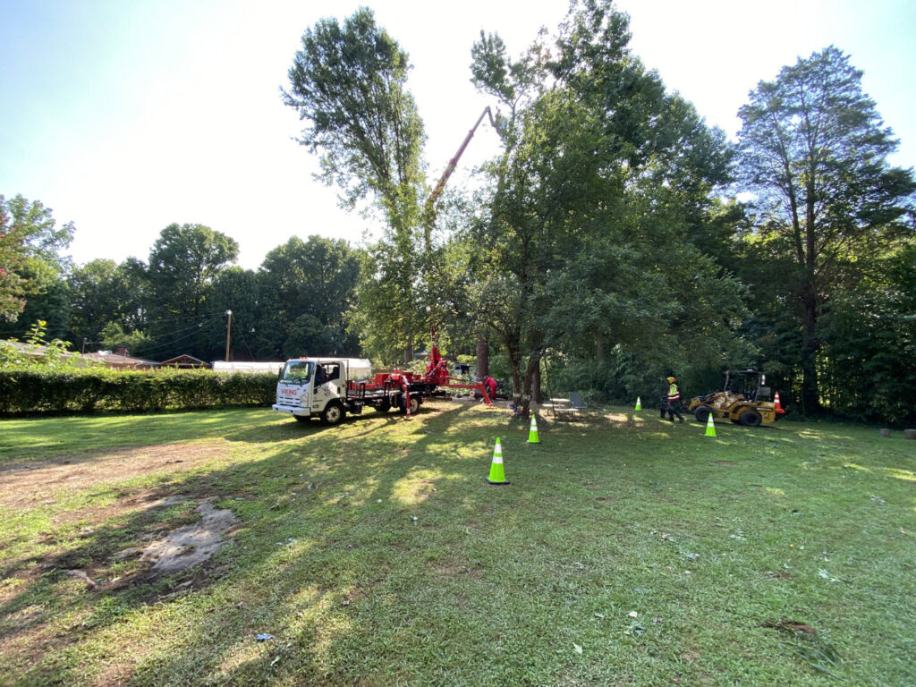 Business queued-photos - Torwai’s Quick Tree Service and Stump Removal