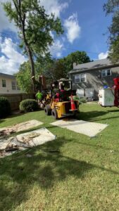 Business queued-photos - Torwai’s Quick Tree Service and Stump Removal
