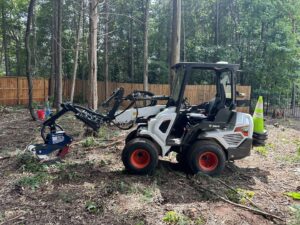 Business queued-photos - Torwai’s Quick Tree Service and Stump Removal