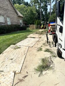 Business queued-photos - Torwai’s Quick Tree Service and Stump Removal