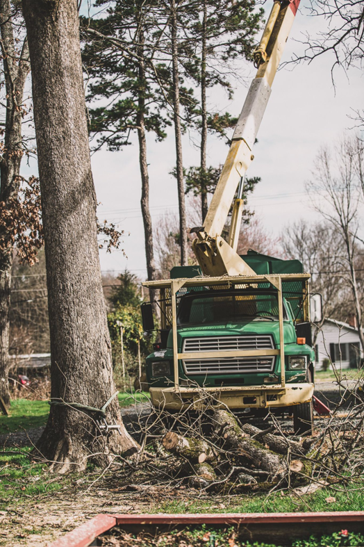 Business queued-photos - Tip Top Tree Service