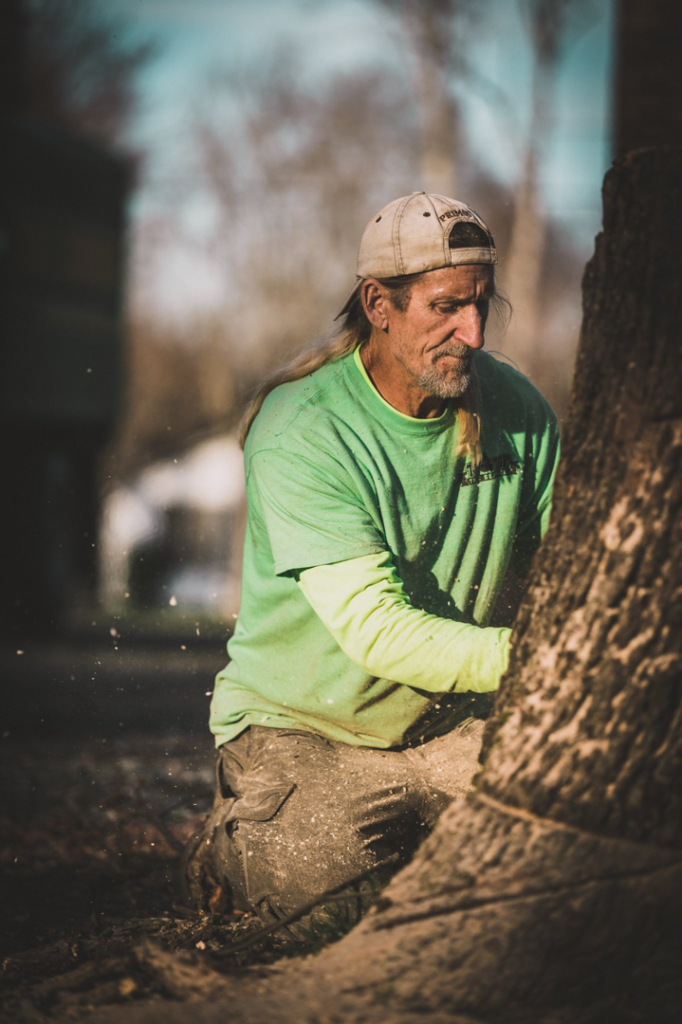 Business queued-photos - Tip Top Tree Service