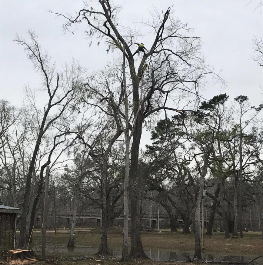 Business queued-photos - Duffey Tree Care