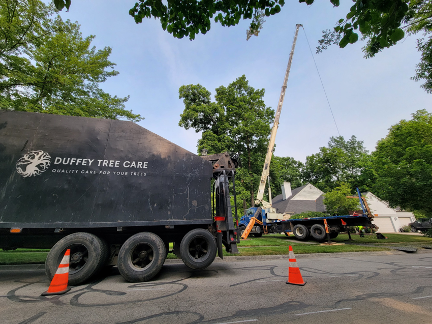 Business queued-photos - Duffey Tree Care