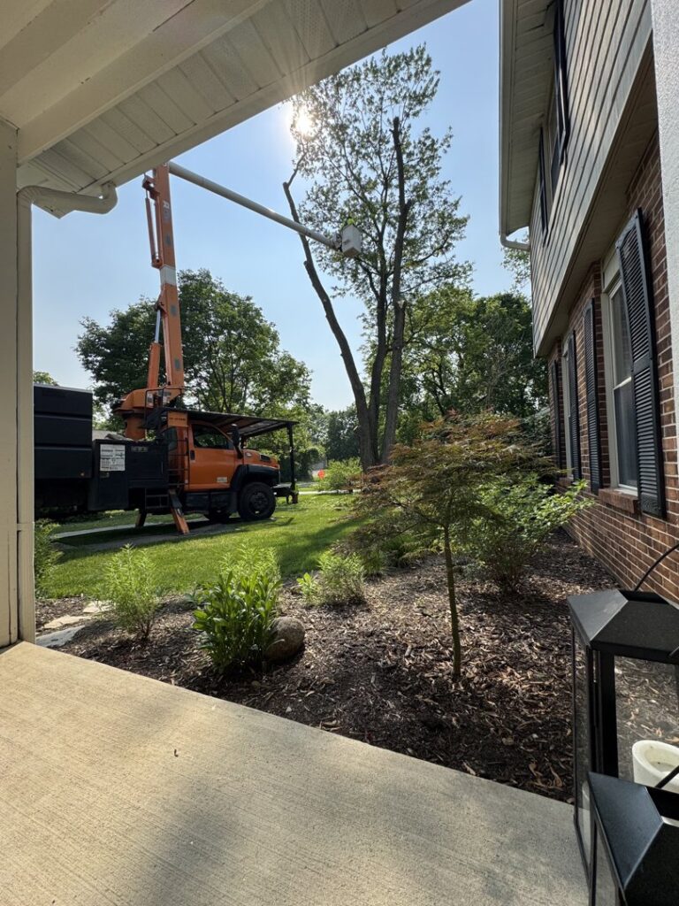 Business queued-photos - Duffey Tree Care