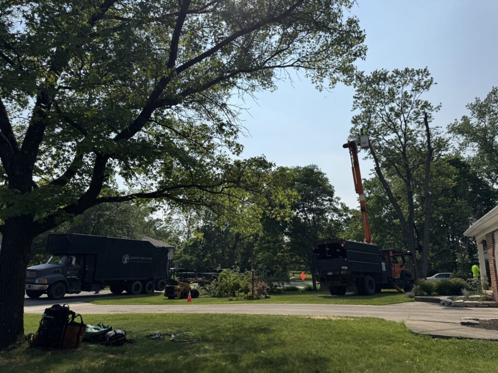 Business queued-photos - Duffey Tree Care