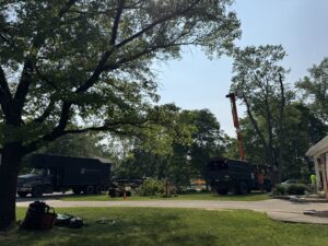 Business queued-photos - Duffey Tree Care