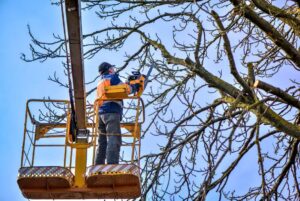 Business queued-photos - Duffey Tree Care