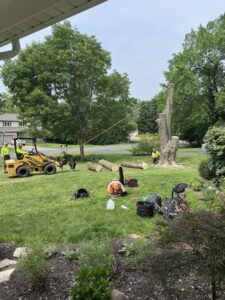 Business queued-photos - Duffey Tree Care