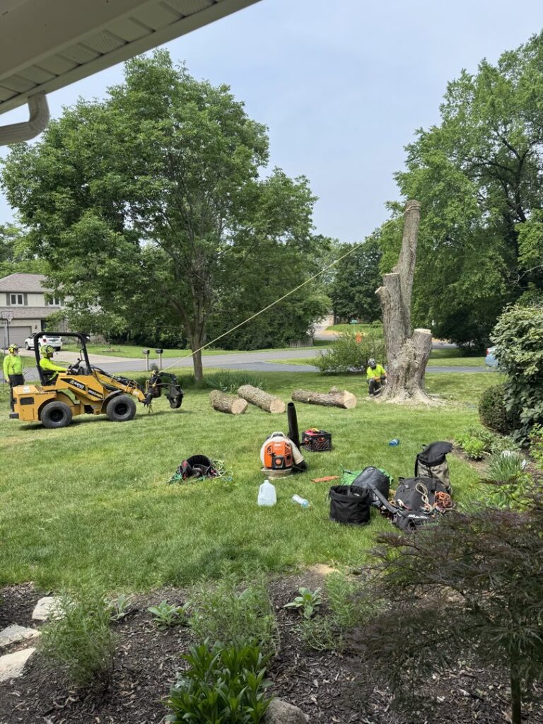 Business queued-photos - Duffey Tree Care