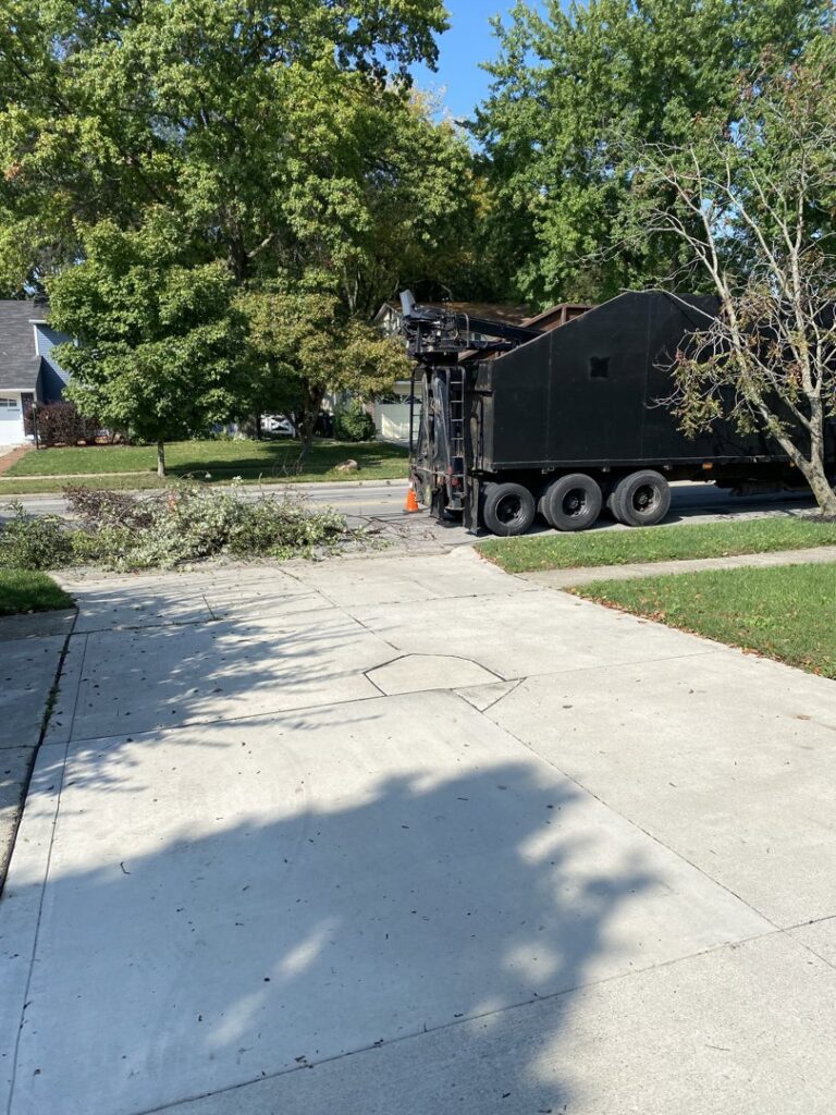 Business queued-photos - Duffey Tree Care