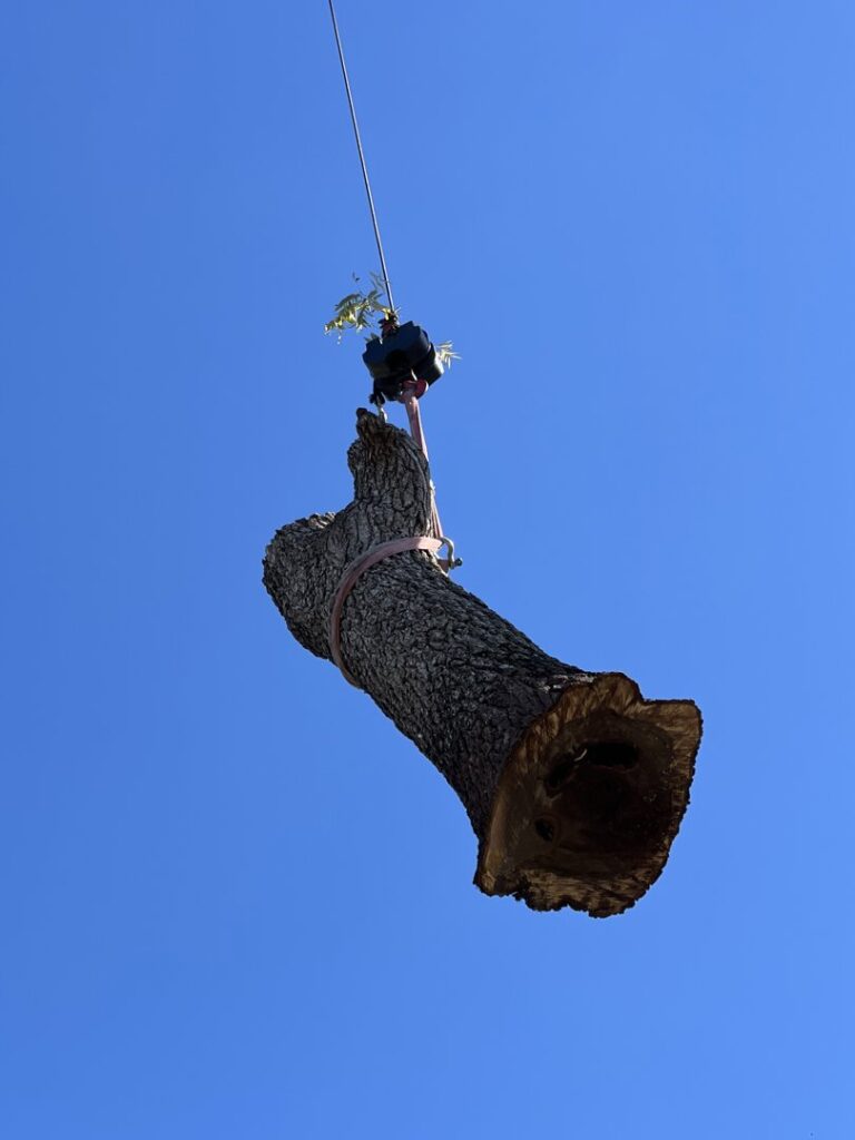 Business queued-photos - Duffey Tree Care