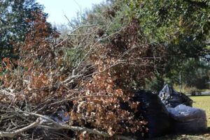 Business queued-photos - Duffey Tree Care