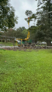 Business queued-photos - Rene Tree Service LLC