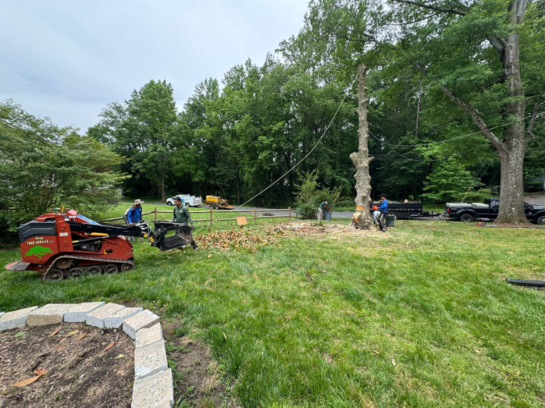 Business queued-photos - Rene Tree Service LLC