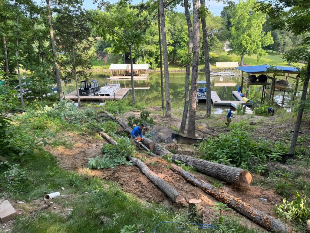 Business queued-photos - Rene Tree Service LLC