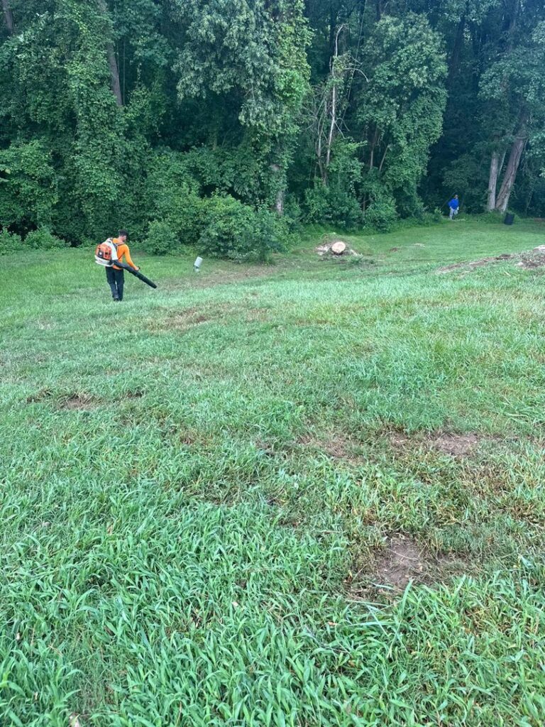 Business queued-photos - Rene Tree Service LLC