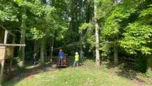 Business queued-photos - Rene Tree Service LLC