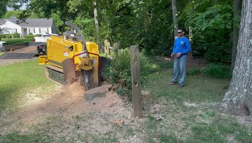 Business queued-photos - Rene Tree Service LLC