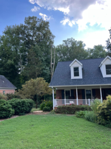 Business queued-photos - Tony’s Tree Service LLC