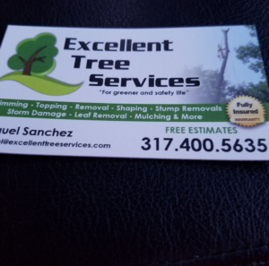 Business queued-photos - Excellent Tree Services