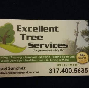 Business queued-photos - Excellent Tree Services