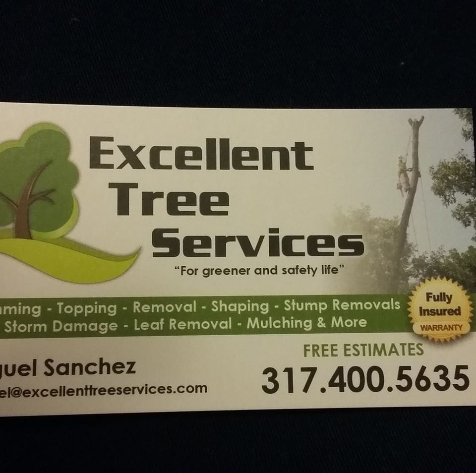 Business queued-photos - Excellent Tree Services