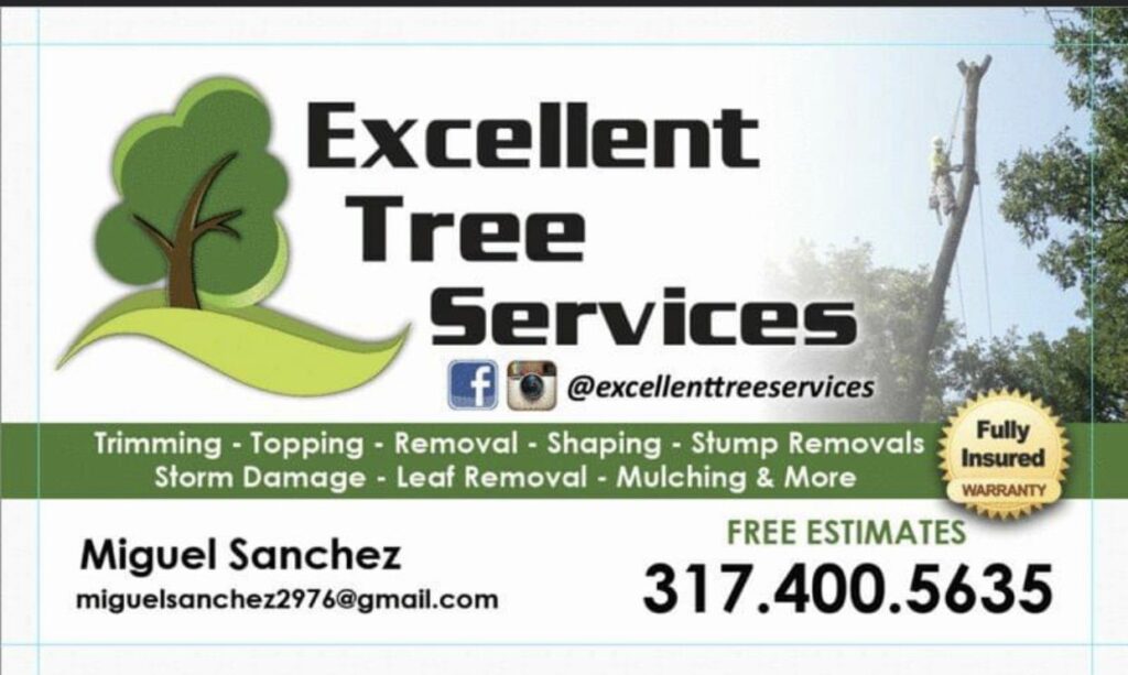 Business queued-photos - Excellent Tree Services