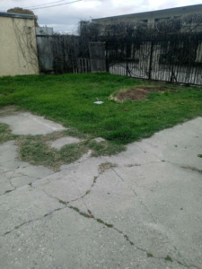 A clean and clear residential yard after a successful junk removal service by Duncan Hauling Services in Carson, CA.