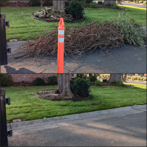 Before and after of yard waste, including branches and logs, removed by Covered2Clean in Sacramento, CA.